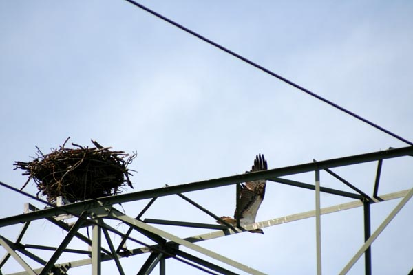 Killikus&reg; Fotographie